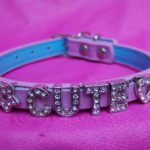bling collar charms and letters.