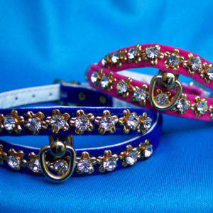 Designer. Everyday & Special Occasion Dog & Cat Collars, Leads, Leashes and Harnesses