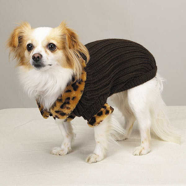 fancy pet sweater