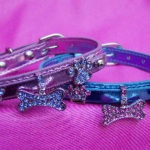 slider dog collar charms