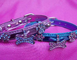 slider dog collar charms