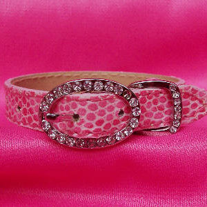 snake print collar