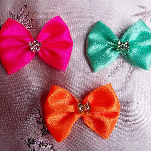 fancy pet show bows