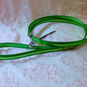 metallic leash