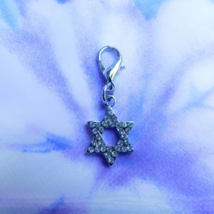 Star of David Pet Collar Charm