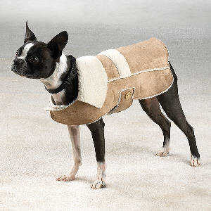 Faux suede Shearling dog coat