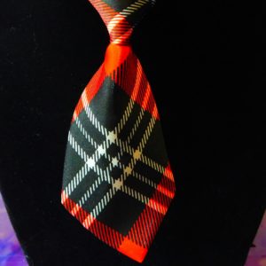 Red Plaid Pet NeckTie