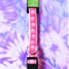 Guardian Gear Two Tone Pink Dog Collar