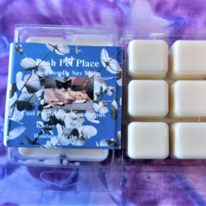 Cool Peppermint Eucalyptus wax melt cubes